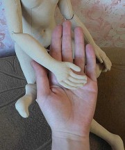 Масштаб руки в соотношении с человеческой